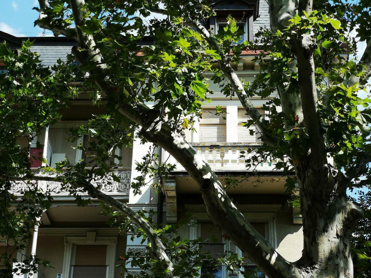 Spazioso E Accogliente Nel Centro Di Merano Dış mekan fotoğraf